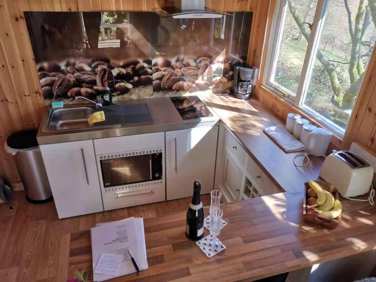 Treeside Woodhouse Villa Hawkshead Ngoại thất bức ảnh