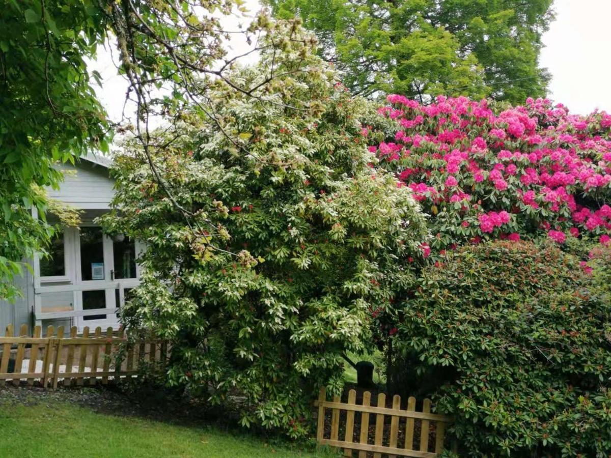 Treeside Woodhouse Villa Hawkshead Ngoại thất bức ảnh