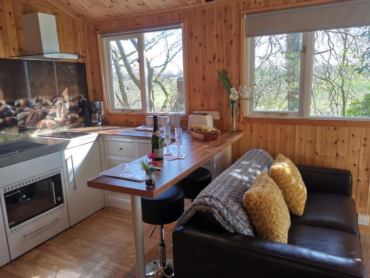 Treeside Woodhouse Villa Hawkshead Ngoại thất bức ảnh