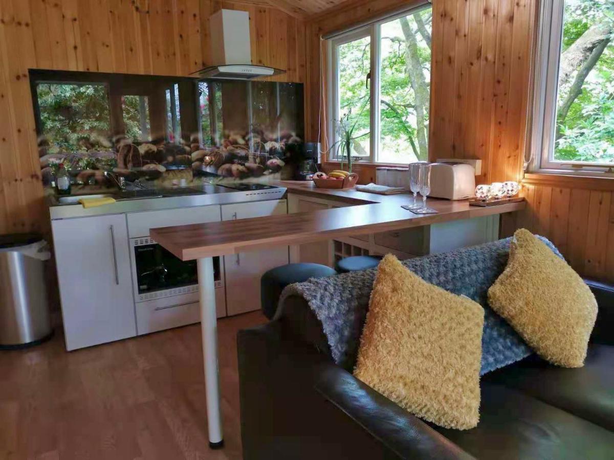 Treeside Woodhouse Villa Hawkshead Ngoại thất bức ảnh