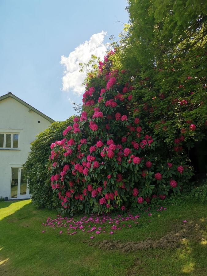 Treeside Woodhouse Villa Hawkshead Ngoại thất bức ảnh