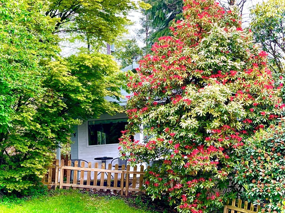 Treeside Woodhouse Villa Hawkshead Ngoại thất bức ảnh