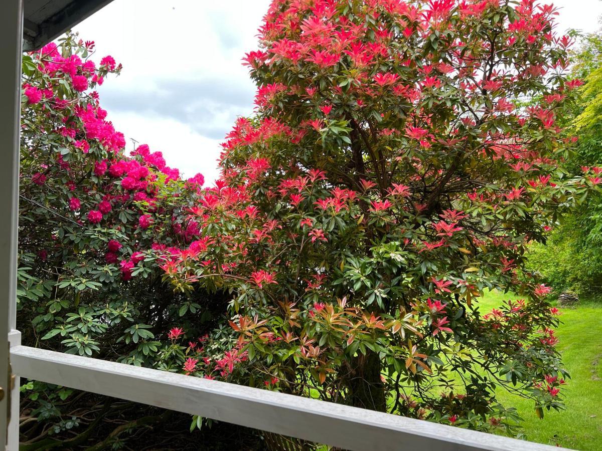 Treeside Woodhouse Villa Hawkshead Ngoại thất bức ảnh