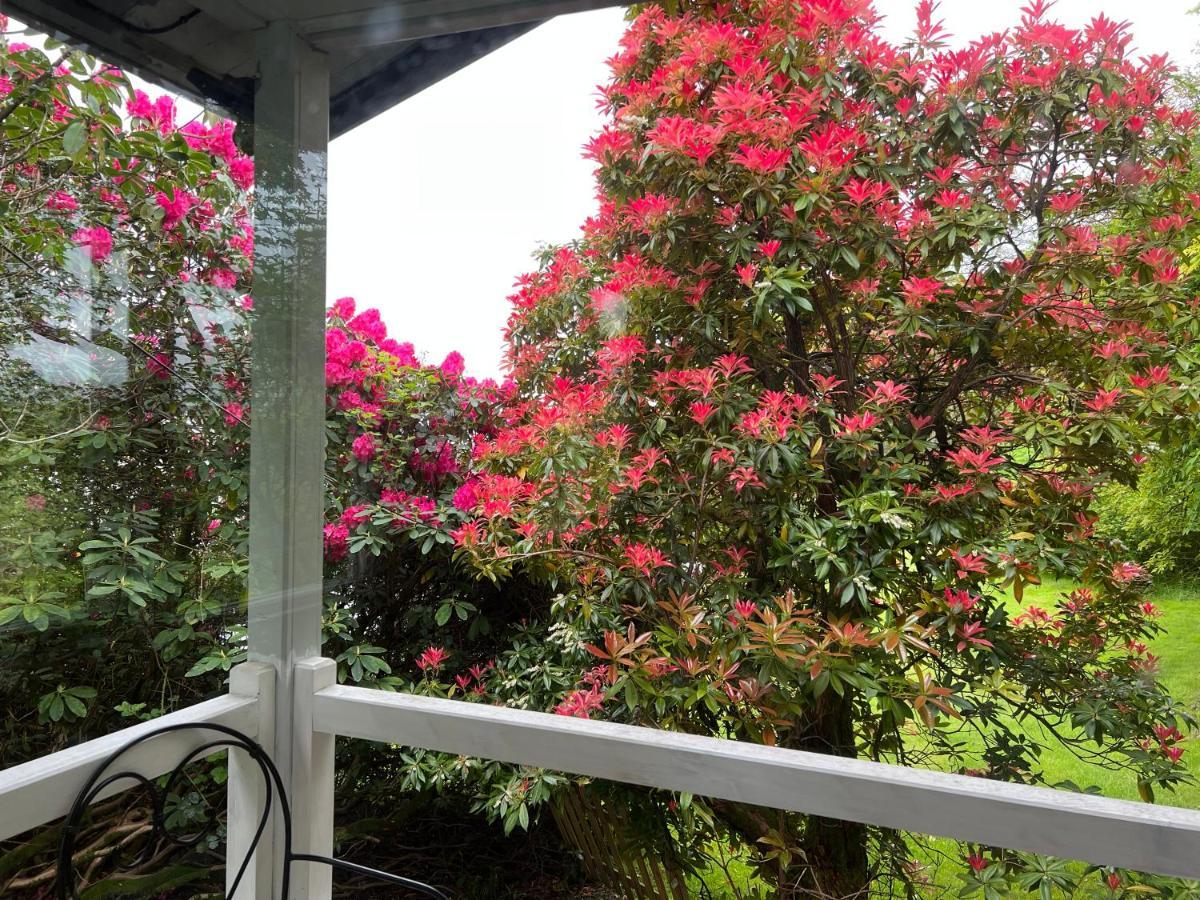 Treeside Woodhouse Villa Hawkshead Ngoại thất bức ảnh