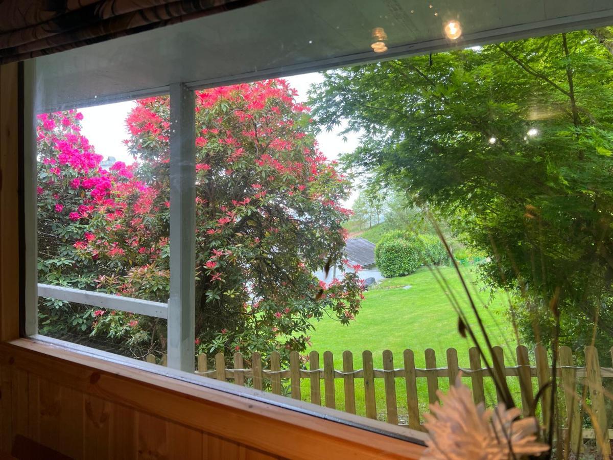 Treeside Woodhouse Villa Hawkshead Ngoại thất bức ảnh